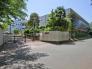 市原市立若宮小学校  250m
