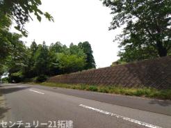 その他現地