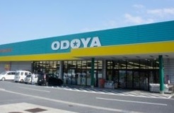 ODOYA江川店